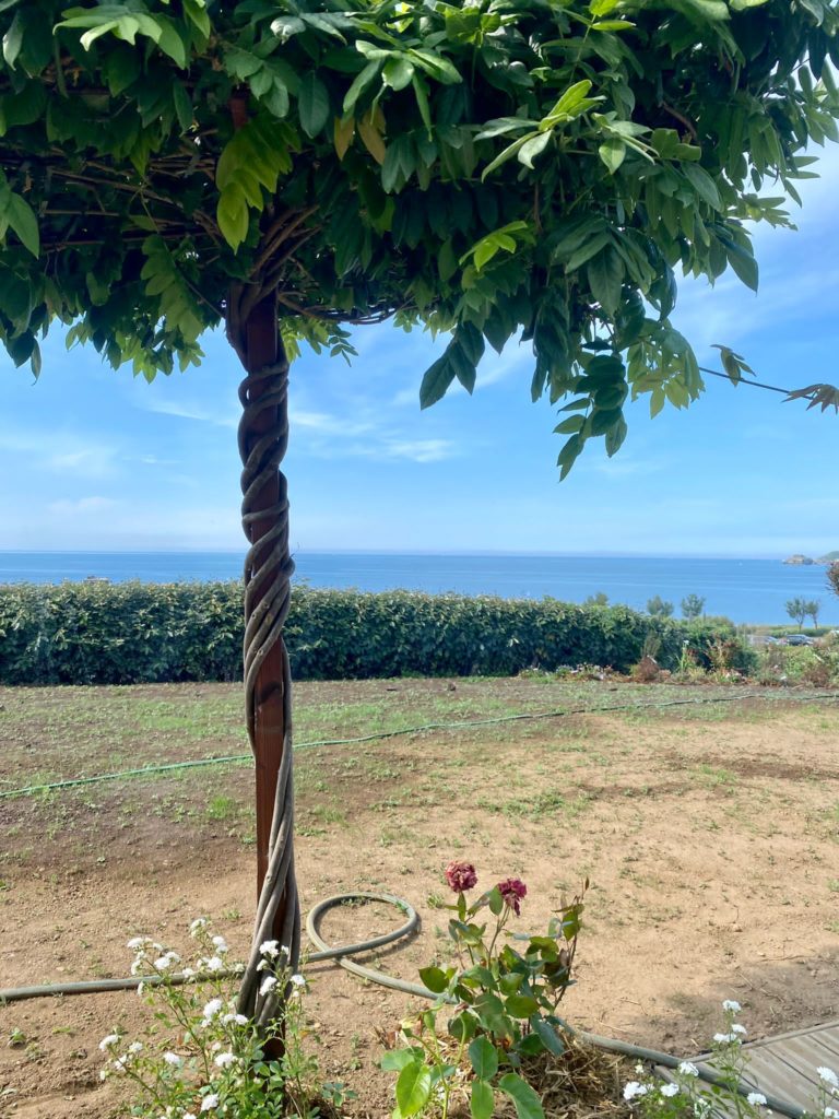 Vue sur la mer depuis le jardin, un arbre au premier plan